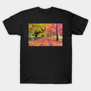 Autumn Path 2 T-Shirt